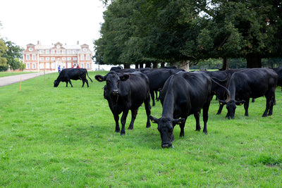 Raynham Estate British Beef | HG Walter Ltd