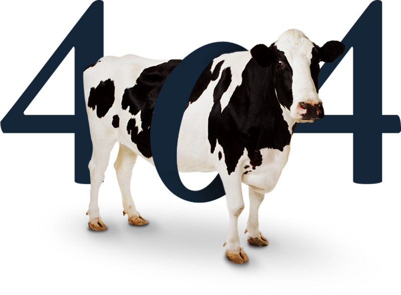 404 page image - Cow inside of the number 404