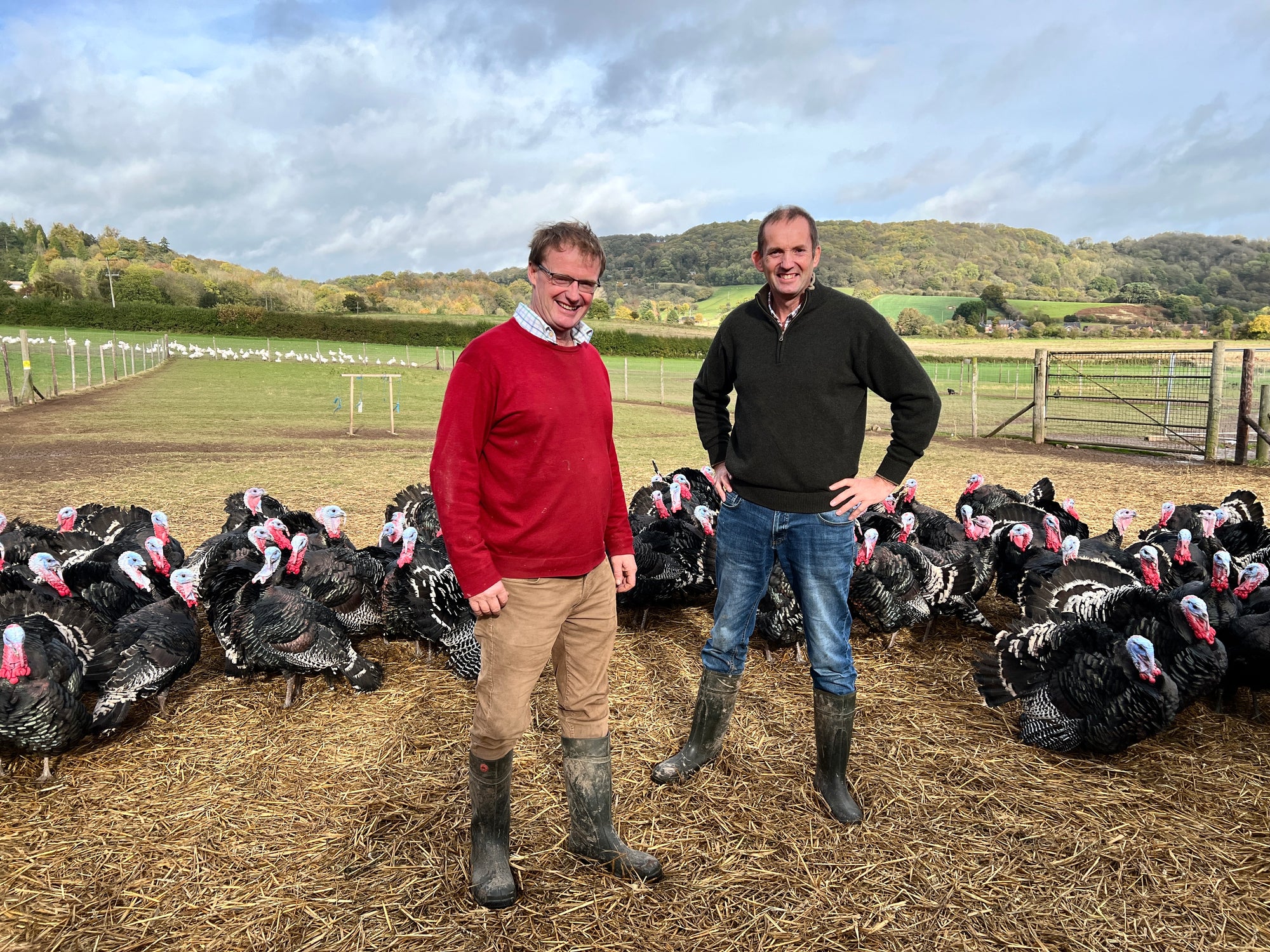 Goodman's Geese Farm