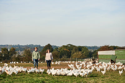 Sutton Hoo Chicken | HG Walter Ltd 