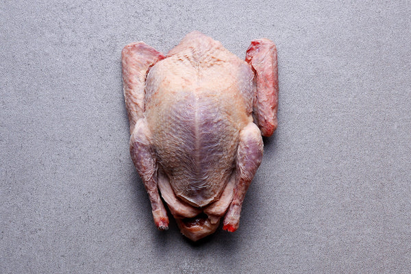 Squab Pigeons | HG Walter Ltd
