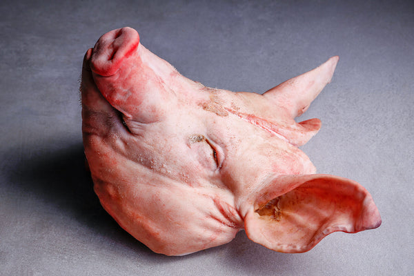 Pig's Head | HG Walter Ltd