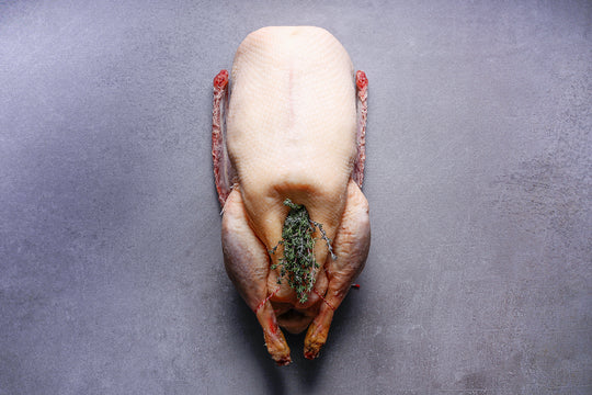 Free Range Christmas Goose