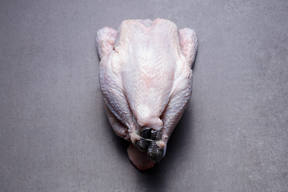 Norfolk Black Chicken 