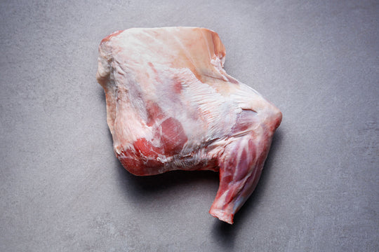 Jacob Hogget Shoulder