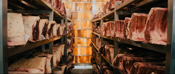 HG Walter Himalayan Salt Chamber