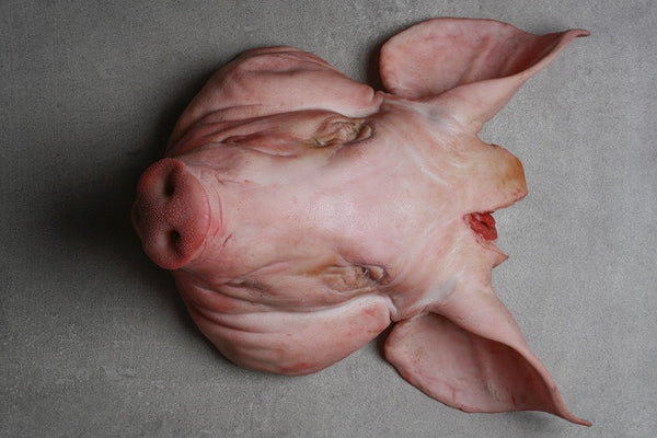 Pig's Head | HG Walter Ltd