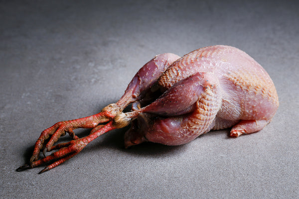 Red Leg Partridge | HG Walter Ltd
