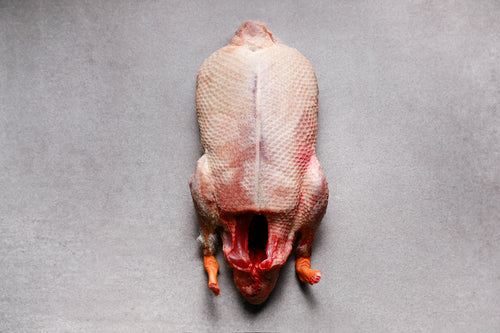 Mallard | HG Walter Ltd