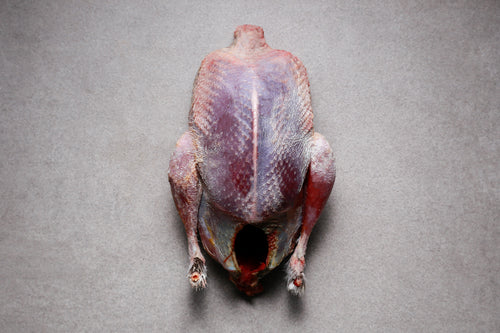 Tender Young Grouse | HG Walter Ltd